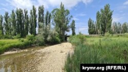 Обмелевшая река Биюк-Карасу. Крым, Белогорский район, июнь 2025 года