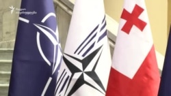 თბილისი ნატოს საპარლამენტო ასამბლეას მასპინძლობს