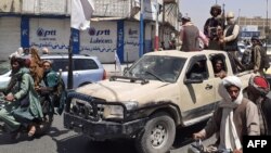 თალიბები ყანდაარში. 13 აგვისტო.