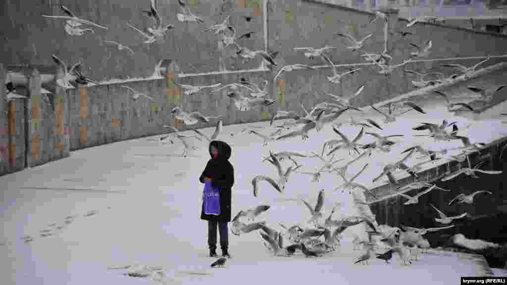 Дівчина годує чайок біля пам'ятника Затопленим кораблям