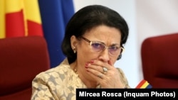 Ecaterina Andronescu susține amendamentul propus de C. Rădulescu privind expertiza de risc seismic