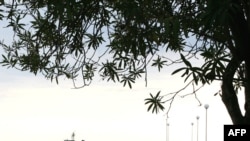 Нет необходимости проводить социологические исследования, чтобы прийти к выводу, что в Абхазии очень настороженно воспринимают саму идею и намерения грузинских беженцев приезжать сюда, пусть даже на короткое время