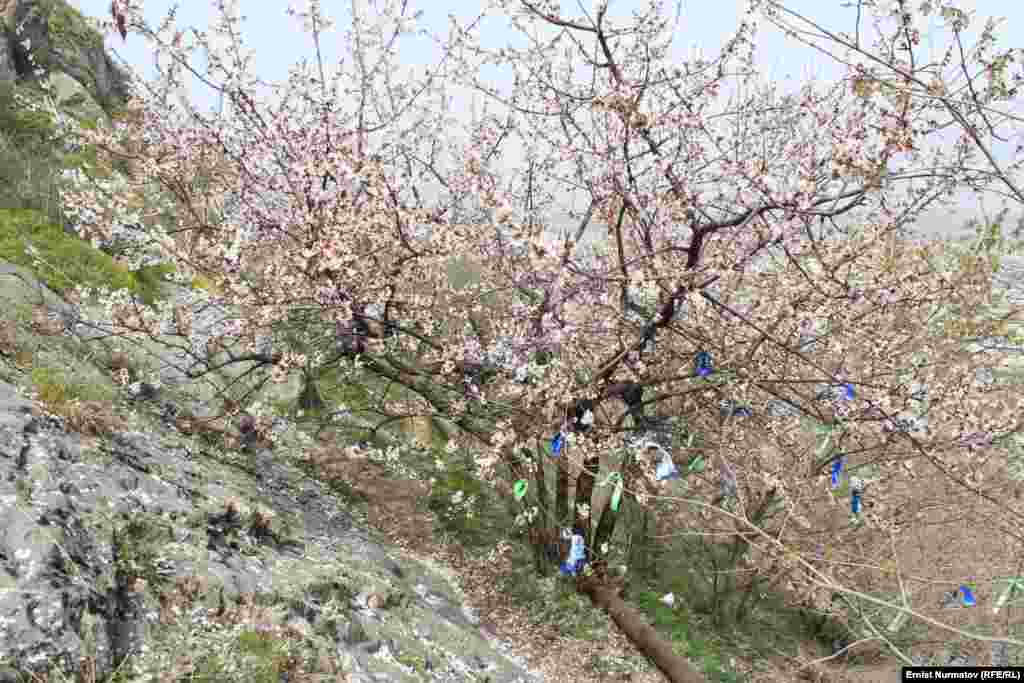 Священная гора...