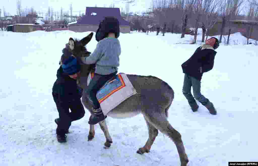 Мальчики играют в козлодрание на осликах, здесь каждый мечтает прославиться в этой игре.