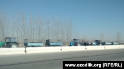 Самарқанд вилоятида йўл четидаги гўнг ортилган тракторлар кимни кутмоқда?