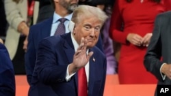 Дональд Трамп. 