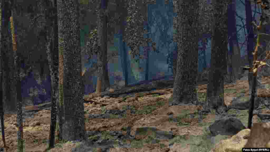 Një ditë pas djegies së një pjesë të madhe të malit.&nbsp;