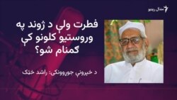 فطرت یوازې شاعر نه بلکې دیني عالم هم وو