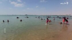 مصری عکاس وایي په ډيجيټل دور کې هم له دوديزو لارو عکاسي کوي