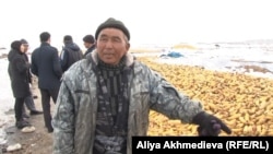 Фермер Серик Ахмади показывает урожай кукурузы. Алматинская область, 17 марта 2014 года.