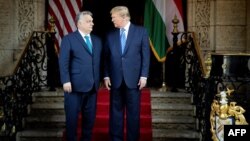 Віктар Орбан і Дональд Трамп, Флорыда, ЗША, 8 сакавіка 2024 году