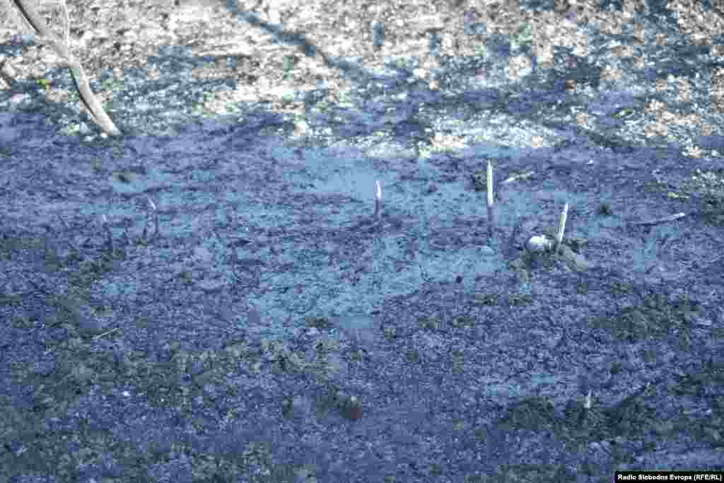 Пеплосана ниска вегетација во резерватот Езерани 