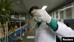 Иллюстративное фото.